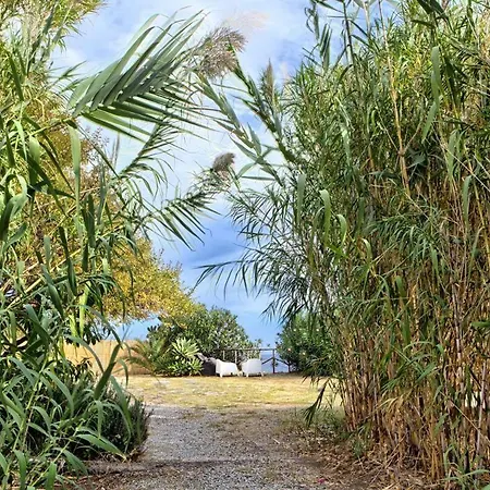 Case Sulla Spiaggia Di Santa Marina Salina Buitenkant foto